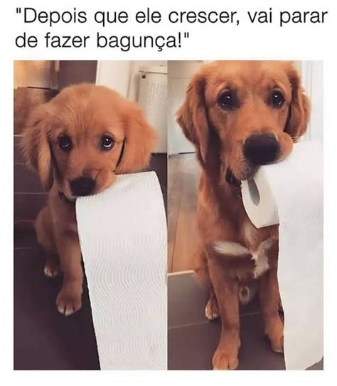 20 Memes Engraçados Que Vão Te Fazer Rachar O Bico Humor Da Terra