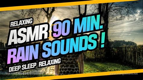 Asmr `rain Sounds` With No Music 90mins `sleep Sounds` Asmr Youtube