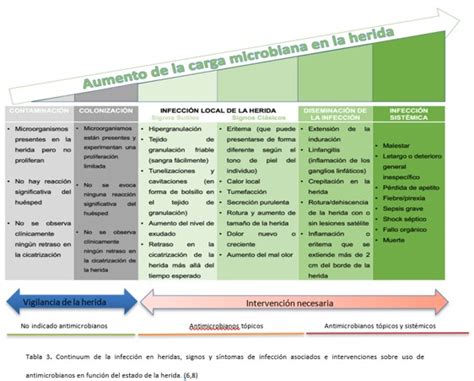 Monograf A Gesti N De La Infecci N Mediante Algoritmo De Decisi N