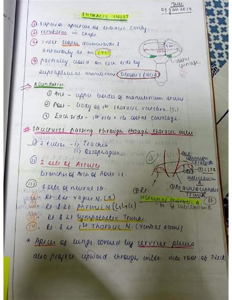 Solution Thorax Notes Studypool