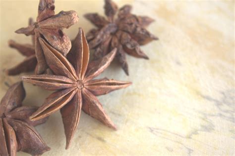 Free picture: anise, spice, star, shape, flavor, aroma, organic