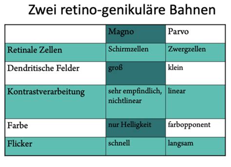 Wahrnehmung Retina Bis Farbe Karteikarten Quizlet