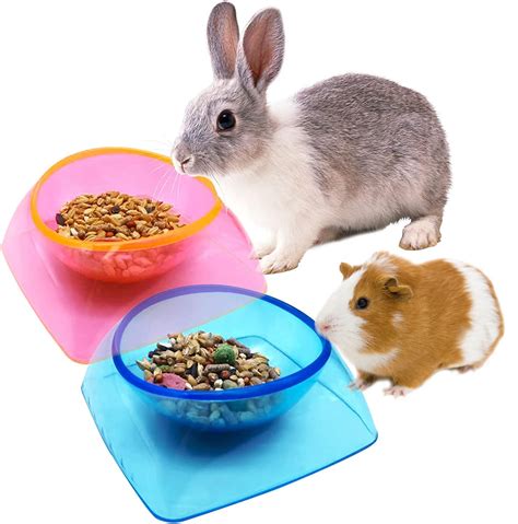 Hamster Food Bowl