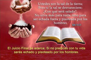 Sal En La Biblia Significado Profundo Y Vers Culos Clave Para