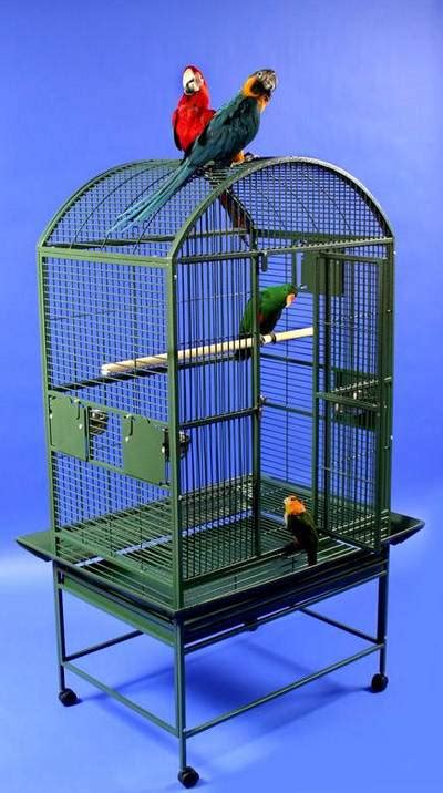 HD Animals: large parrot bird cages