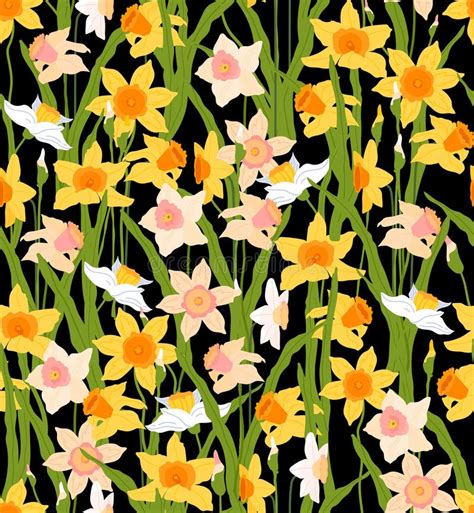 Daffodil Flower Seamless Pattern On Black Background Narcissus Spring