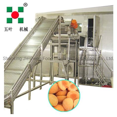 Vegetable Quick Freezing Machine IQF Tunnel Fluidized Bed IQF Tunnel