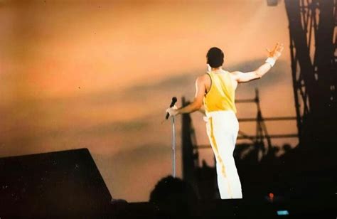 Pin di Mabel Lopez su Freddie Mercury