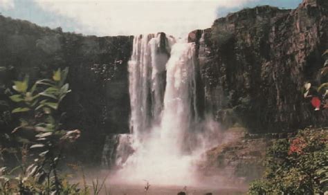 Parque nacional canaima en el estado bolívar venezuela parque