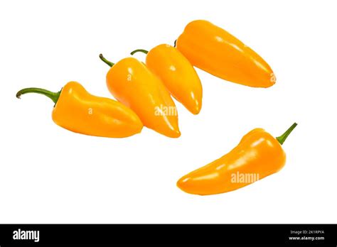 Group Of Yellow Hot Jalape O Peppers Isolated On A White Background Stock Photo Alamy