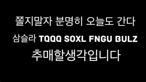 쫄지말자 분명히 오늘도 간다 TQQQ SOXL FNGU BULZ YouTube