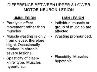 Upper and lower motor neuron | PPT