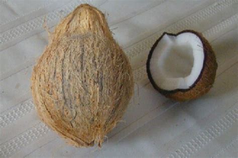 Peeled coconut - Virily