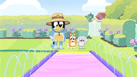 Bluey Abc Iview