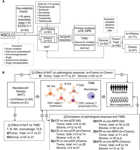 Frontiers Tumor Microenvironment Features Decipher The Outperformance