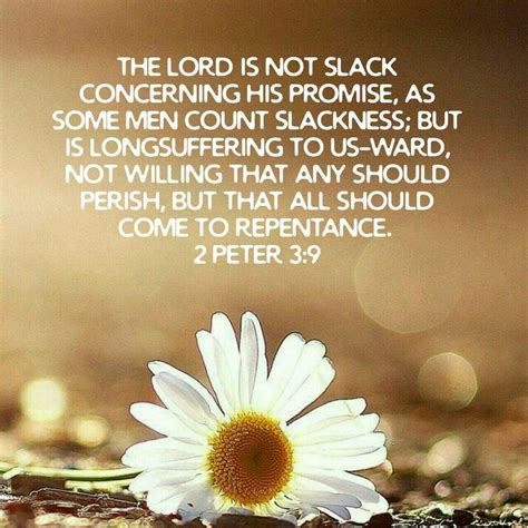 2 Peter 39 Kjv Christian Quotes Scriptures Inspirational Bible