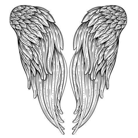 Hand Drawn Tattoo Style Wings Stock Illustrations 3275 Hand Drawn Tattoo Style Wings Stock