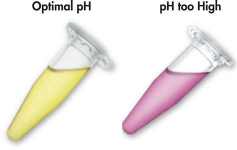 Minelute Gel Extraction Kit 凝胶 Dna 纯化 Qiagen