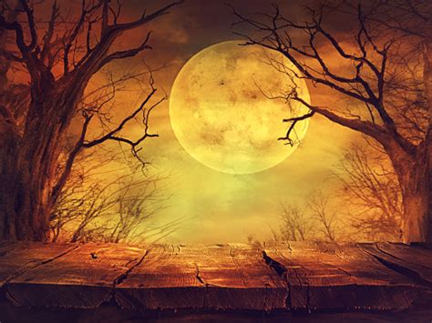 Spooky Forest With Full Moon And Wooden Table Stock Photo - Download Image Now - iStock