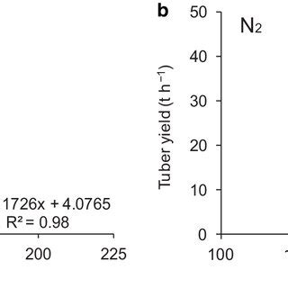 Relationship Between Potato Tuber Yield And Total N Uptake Under