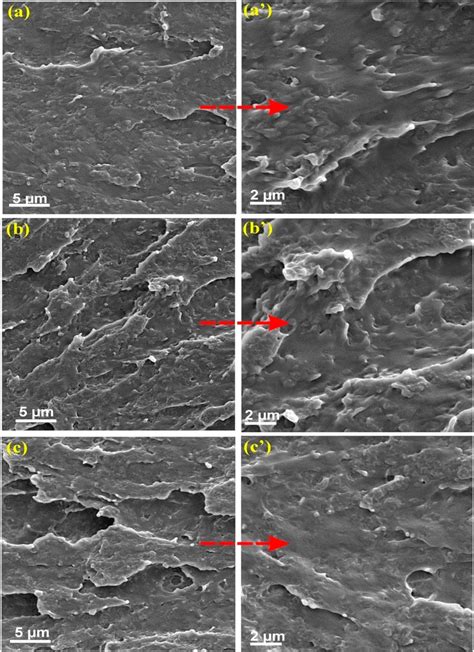 Sem Images Of The Impact Fractured Surfaces Of Pla Pb Gsan Pmma