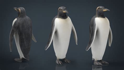 Penguin - 3D Model by sanchiesp