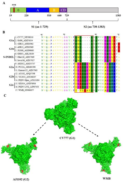 Frontiers Isolation And Characterization Of Porcine Epidemic Diarrhea