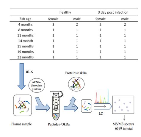 A Novel Antimicrobial Peptide From Fish Blood Knowledge Transfer Office