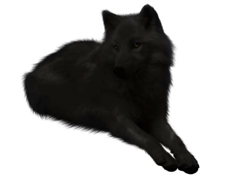 Black Wolf PNG & Transparent Black Wolf.PNG | HDPng