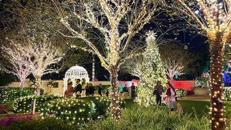 Florida Botanical Gardens sparkles with 1 million holiday light display ...