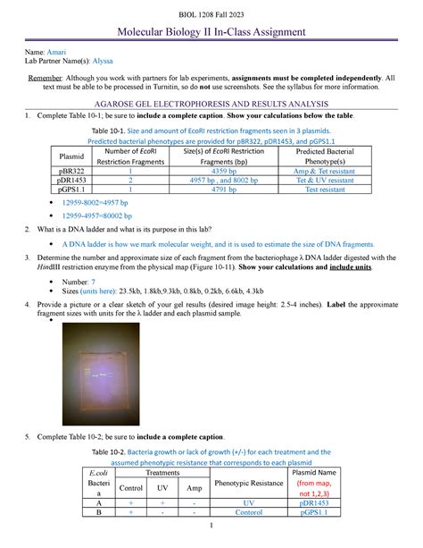 Molecular Biology Ii Ica Biol Fall Molecular Biology Ii In