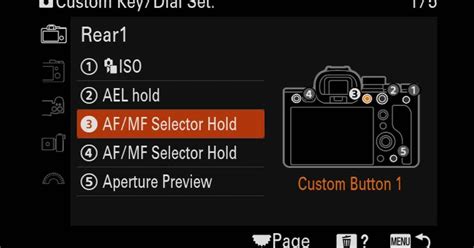 Photo Fundamentals: Why And How To Use Back-Button Autofocus | Sony ...