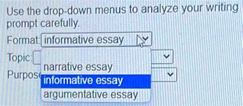 Solved Use The Drop Down Menus To Analyze Your Writing Prompt