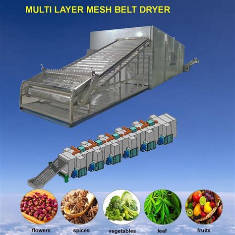 Conveyor Mesh Belt Dryer For Vegetables Fruit Desiccated Coconut Plant