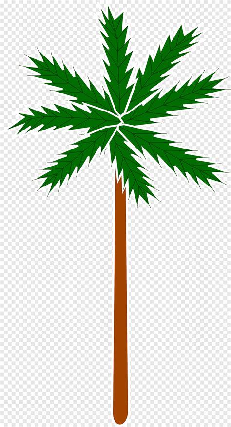 Arecaceae ดทสด ปาลม arecales png PNGEgg