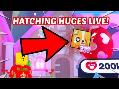 Live Hatching For Huge Cupid Corgi In Pet Simulator X Youtube