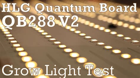 HLG Quantum Board Grow Light Test Horticultural Lighting Goup QB288