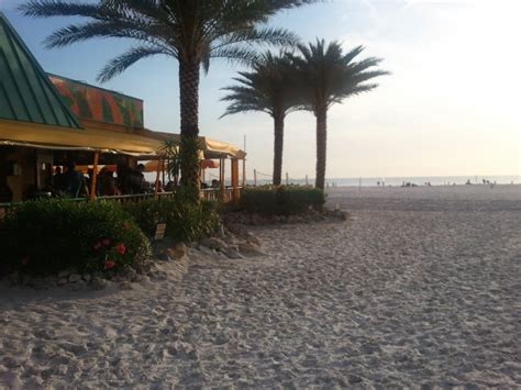 Beach Bar South Padre Island Beach Bars Vacation