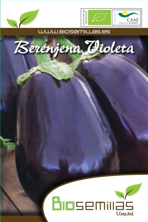 Berenjena Violeta Biosemillas Almería Coop