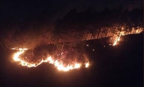 Guardabosques Piden Extremar Cuidados Al Visitar Zonas Protegidas En