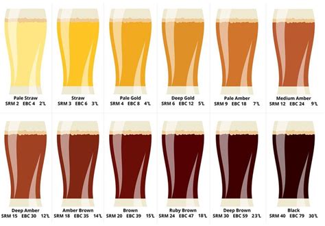 COLORI DELLA BIRRA LE SCALE DI MISURA