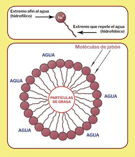 C Mo Hacer Jab N En Pasos Science Teaching