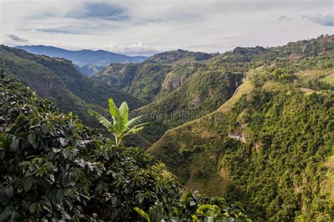 Valley of Magdalena river stock image. Image of valley - 132103365