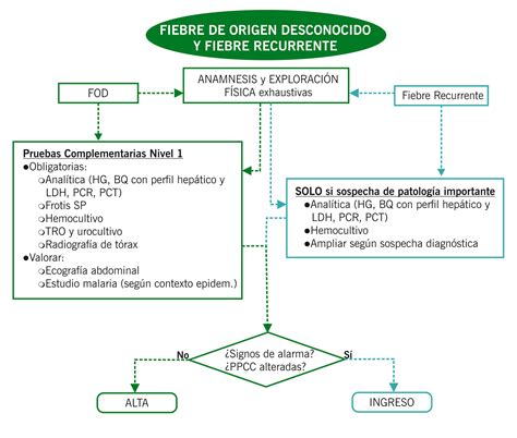 Síndrome febril sin foco Fiebre de origen desconocido Fiebre