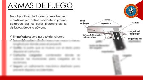 Solution Heridas Por Arma De Fuego Studypool