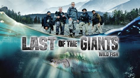 Watch Last Of The Giants Wild Fish Prime Video