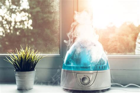 What Are the Benefits of a Humidifier for Your Home? - Molekule