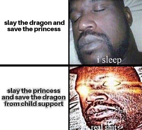 Slay The Princess And Save The Dragon Rdndmemes