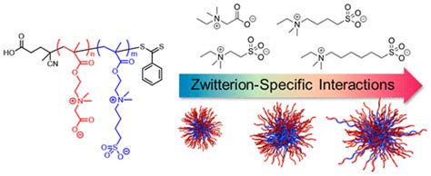 通过两性离子特异性相互作用调节双两性离子嵌段共聚物聚集体langmuir X Mol