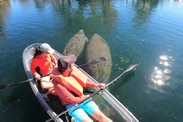 Three Sisters Springs Kayaking - Crystal River | Clear Kayak Tours